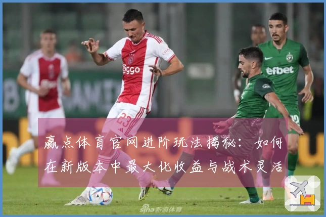 赢点体育官网进阶玩法揭秘：如何在新版本中最大化收益与战术灵活性