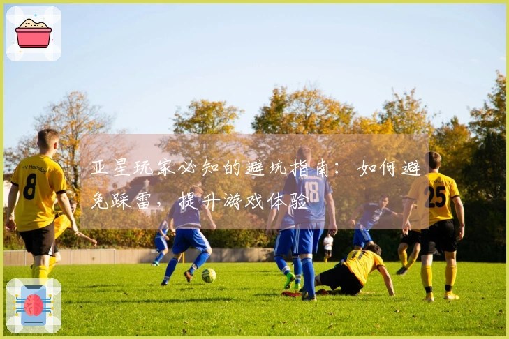 亚星玩家必知的避坑指南：如何避免踩雷，提升游戏体验