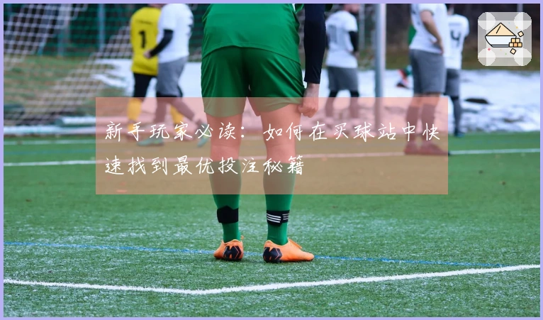 新手玩家必读：如何在买球站中快速找到最优投注秘籍