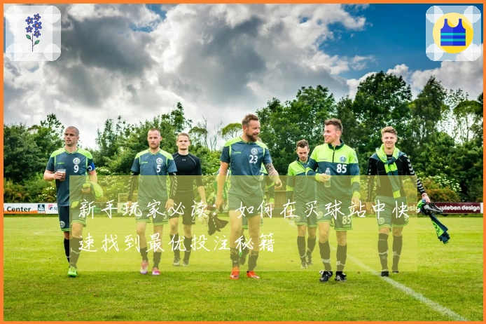 新手玩家必读：如何在买球站中快速找到最优投注秘籍
